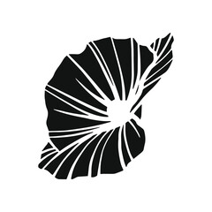 Black vector poppy isolated on the white background. Hand drawn flower silhouette. Minimalistic  design.