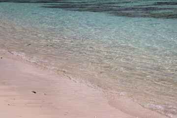 plage de sable rose