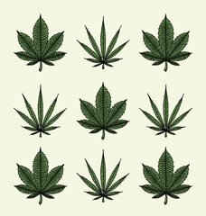 seamless cannabis leaf pattern isolated background. indica sativa shapes illustration  