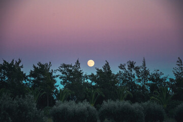 Naklejka premium fantastic evening sky of different colors with a big full moon rising from the horizon. evening sky background with moon