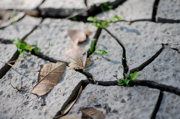 Dry Land in Spain