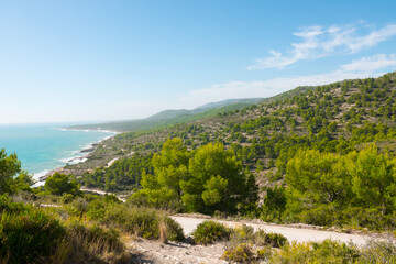 Fototapeta na wymiar Mediterranean sea coast, pine forest and mountains on a sunny summer day. Beautiful Serra d'Irta natural park, Castellon province, Valencian community, Spain. Located between Peniscola and Alcossebre.