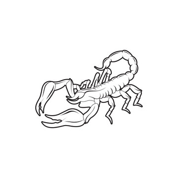 Scorpion drawing with outer lines. Vector