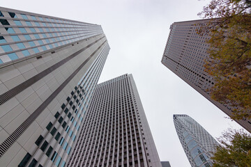 Obraz premium High buildings in Shinjuku district in Tokyo (Japan)