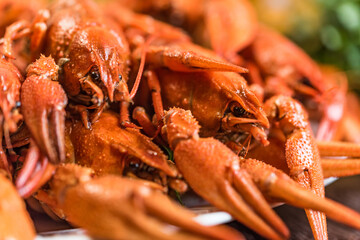Close up of boiled crayfish on rustic wooden background