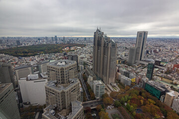 Obraz premium High buildings in Shinjuku district in Tokyo (Japan)