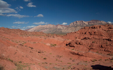 Fototapeta premium The red canyon. View of the arid desert, valley, sandstone, rocky formations and mountains under a deep blue sky in Talampaya national park in La Rioja, Argentina.