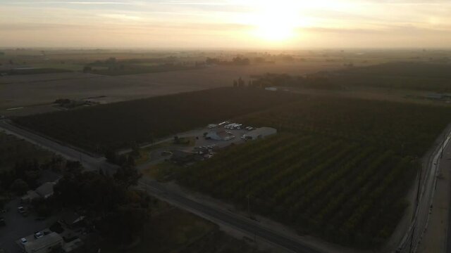 Agriculture Farm Aerial with Field Crops Growing in California