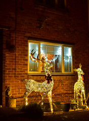 Sparkling deer for Christmas or New Year in the courtyard at night.