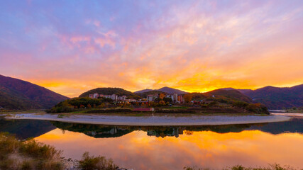 Fototapeta premium 단풍