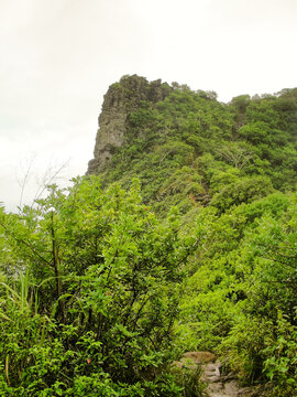 Sleeping Giant Trail In Wailua Kauai