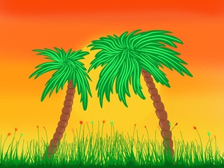 Illustration palm tree silhouette. Sunset in paradise