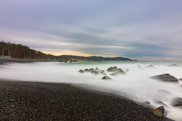 바다와은행나무