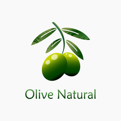 Olive oil. olive branch and leaves Logo. Vector illustration. Fresh green olives on white background