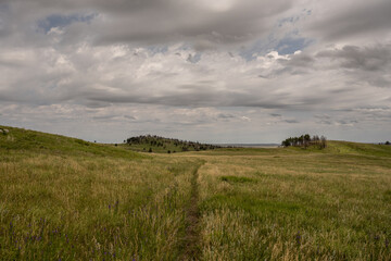 Thin Trail Cuts Through Thick Prairie