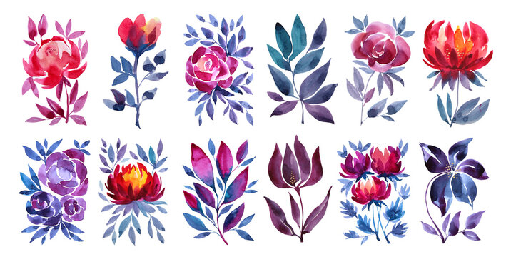 Set watercolor abstract pink, purple, red flower rose, peony, tulip isolated on white background. Art creative object for celebration, wedding, sticker, florist, wallpaper, wrapping