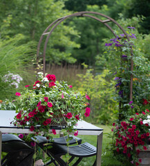 Charming basket of white vincas, red geraniums and red super petunias on a cobalt blue patio table...