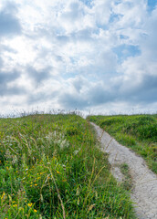 green meadow with partly cloudy sky