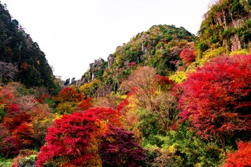 一目八景