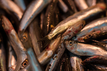 Sardinas en mercado