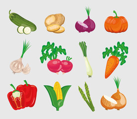 bundle of twelve vegetables set in white background vector illustration design