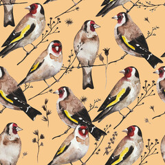 Seamless vintage pattern with goldfinch birds sitting on dry branches. Watercolor painting - obrazy, fototapety, plakaty