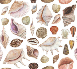 Seamless pattern with sea shells and conchs. Watercolor painting. 