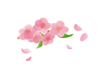 桜と桜の花びら　水彩