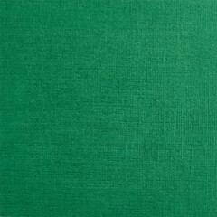 Paper texture background green color for decor 