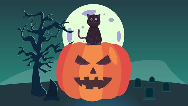Black cat animation sitting on the spooky pumpkin in the graveyard background at night. Shot in 4k resolution