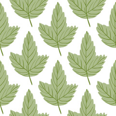 Autumn fall leaves seamless botanic pattern. Isolated nature green foliage backdrop.