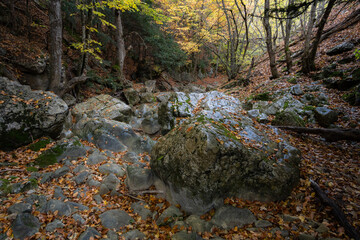 Wet stones inside the Great Canyon of Crimea