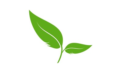 Green leaf illustration vector design