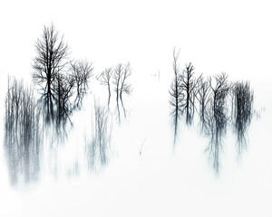 Abstract from Lake Gordon, Tasmania, Australia