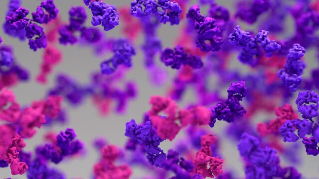 Antibody ready to fighting virus in the bodies