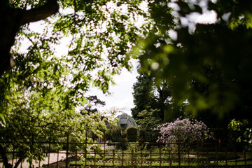 Botanical Garden Through Trees at Parc Zoologique de Paris in Paris