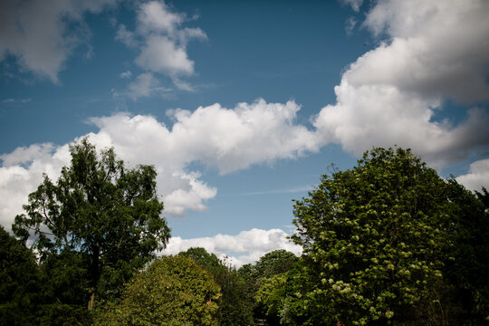View of Sky with Clouds & Trees at Parc Zoologique De Paris