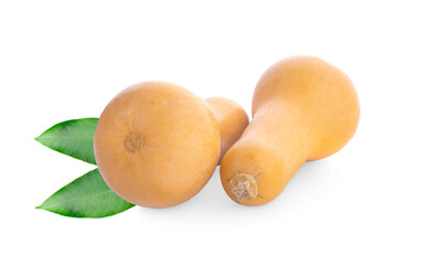 Butternut squash isolated on white background