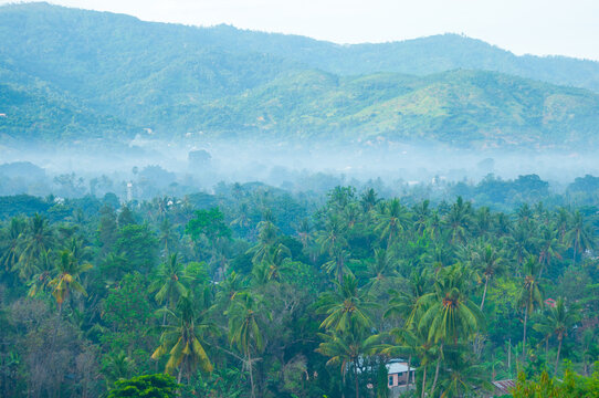 landscape view with fogs in Manatuto Timor Leste