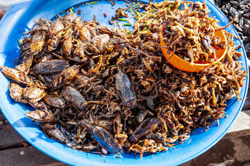 insects as food Cambodia