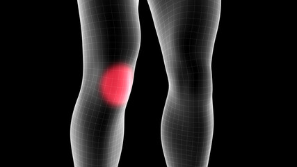 3d illustration of a men xray hologram showing pain area on the leg area
