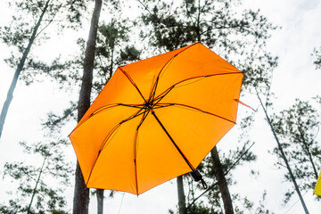 Orange umbrellas hanging outdoor garden decorative concept