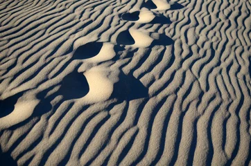 Deurstickers Bolonia strand, Tarifa, Spanje Spectaculaire duinen op het strand van Bolonia, Tarifa