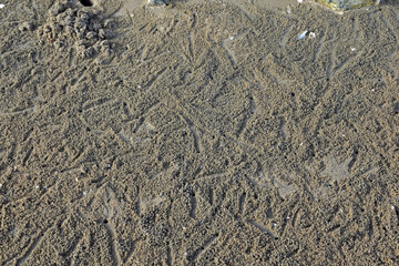 Closeup of Crab hole (Ghost crab) on the beach with small natural sand balls create by ghost crabs at Thailand.