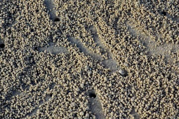 Closeup of Crab hole (Ghost crab) on the beach with small natural sand balls create by ghost crabs at Thailand.