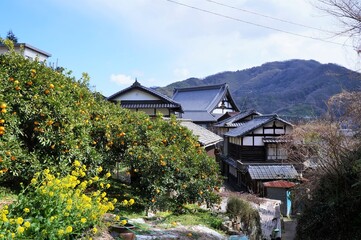 広島県豊島・小野浦の町並み