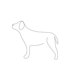 Dog puppy drawing on white background. Vector illustration