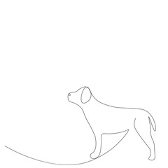 Dog puppy drawing on white background. Vector illustration