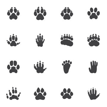 Animals paw print vector icons set, modern solid symbol collection, filled style pictogram pack. Signs, logo illustration. Set includes icons as badger animal footprint, wolf, dog, hedgehog, tiger