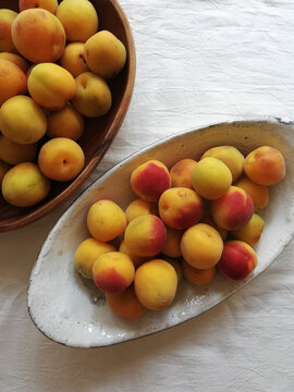 Fully Ripe Japanese Apricot